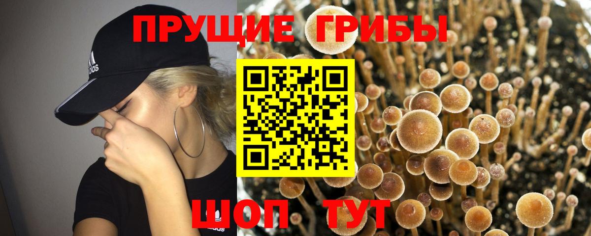 Галлюциногенные грибы MAGIC MUSHROOMS Дивногорск