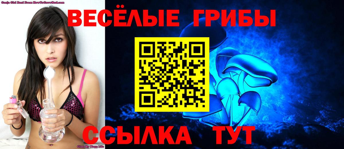 Галлюциногенные грибы Psilocybine cubensis  Вход с VPN  Дивногорск 